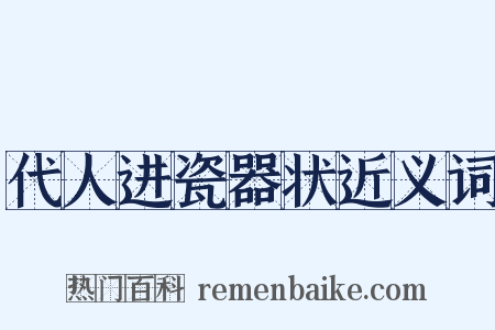 代人进瓷器状近义词是什么意思的图片